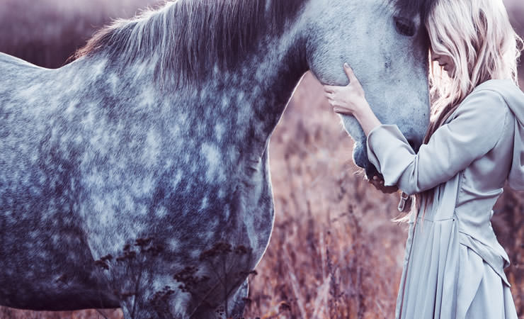 Sonhar com cavalo: Saiba todos os significados!