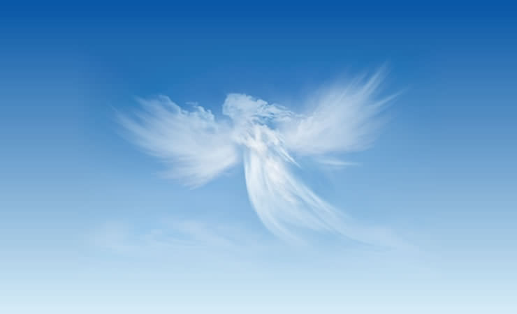 12 sinais da presença dos Anjos perto de você! – Marcia Fernandes
