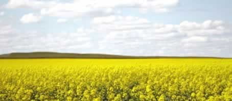 BLOG GRANDE INTERNO_RIBEIRAO PRETO SP BLOG GRANDE INTERNO_RIBEIRAO PRETO SP