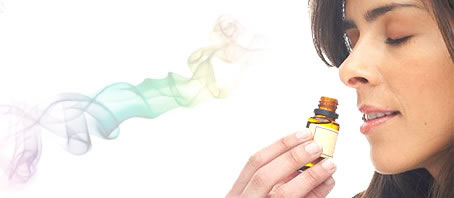BLOG GRANDE INTERNO_O AROMA CERTO