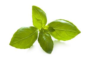 banho_emprego